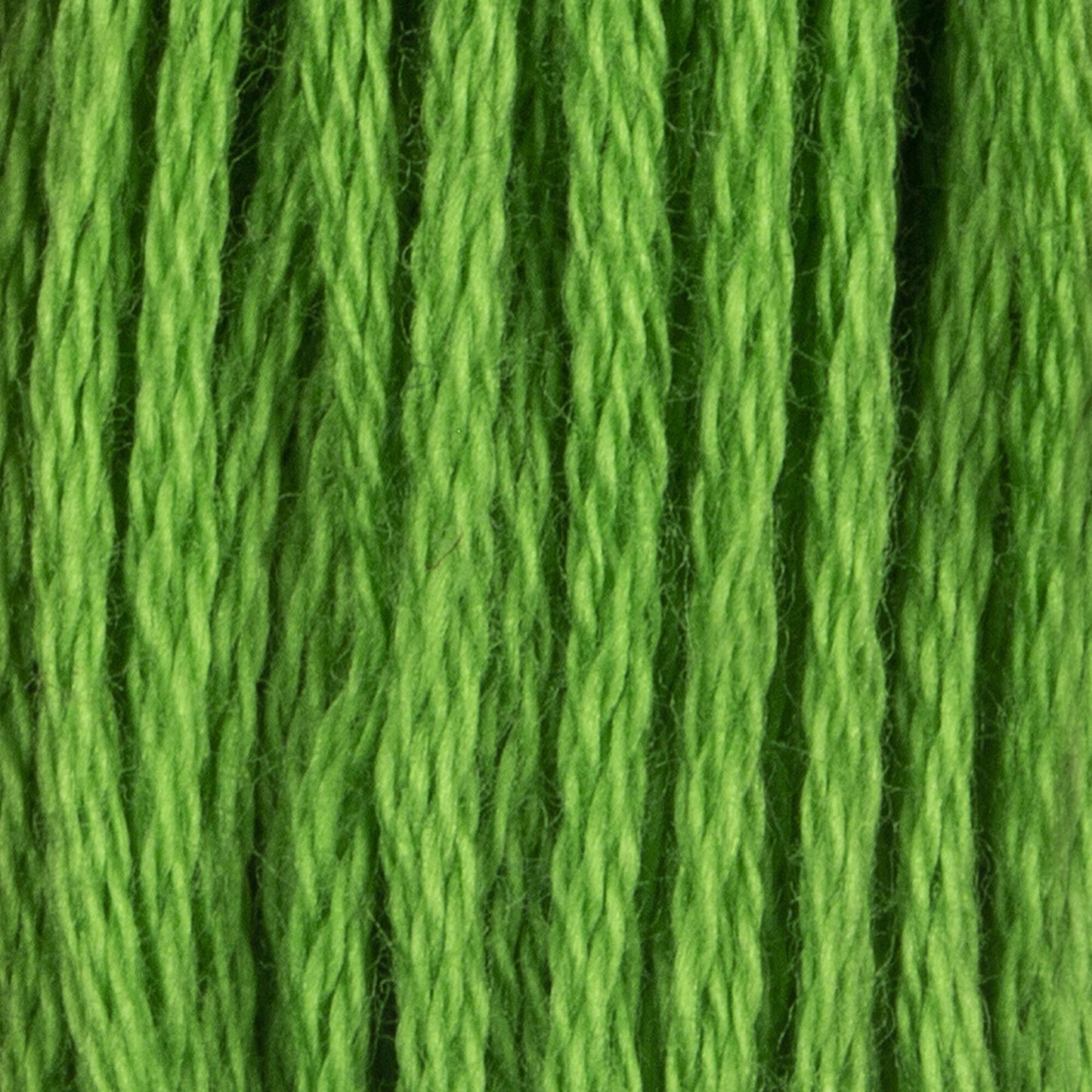 CC Cotton Embroidery Floss