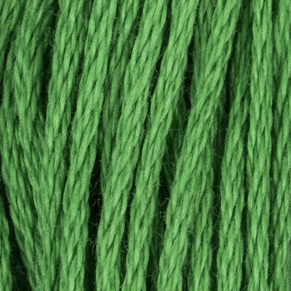 CC Cotton Embroidery Floss