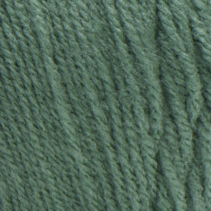 RH Super Saver Yarn