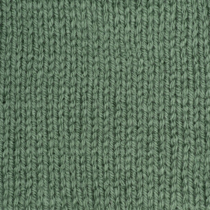 RH Super Saver Yarn