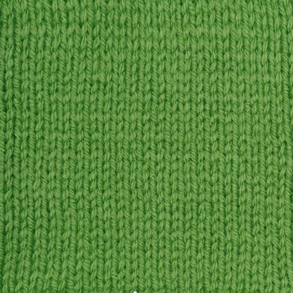 RH Super Saver Yarn