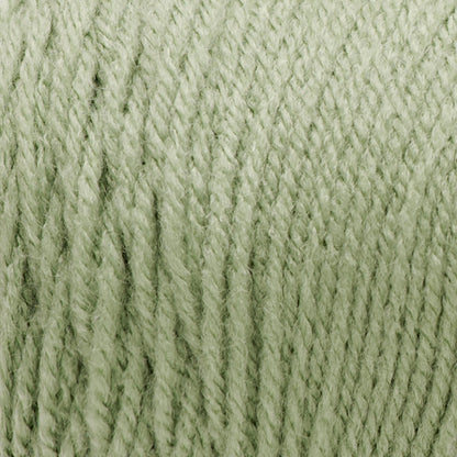 RH Super Saver Yarn