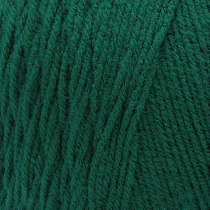 RH Super Saver Jumbo Yarn