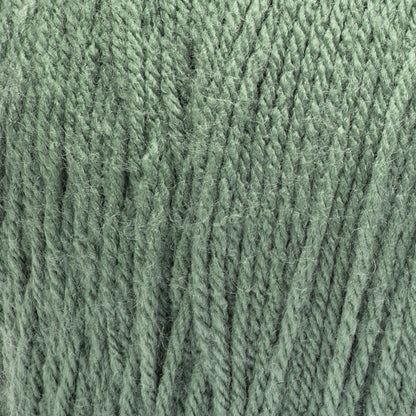 RH Super Saver Jumbo Yarn