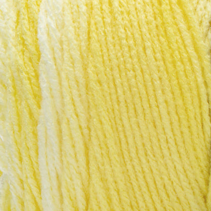 RH Super Saver Ombre Yarn