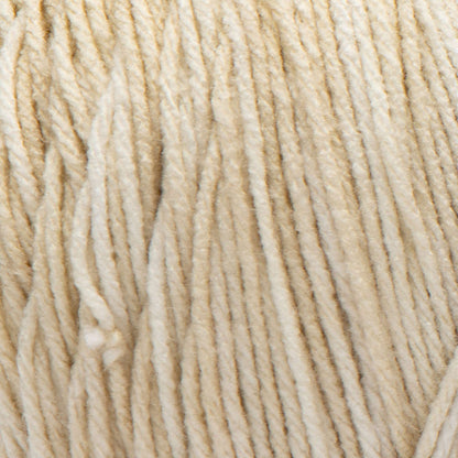 RH Super Saver Ombre Yarn