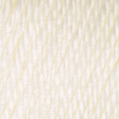 Caron Simply Soft Yarn