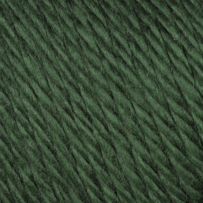 Caron Simply Soft Yarn