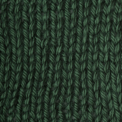 Caron Simply Soft Yarn