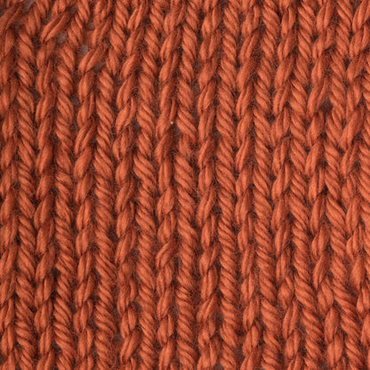 Caron Simply Soft Yarn