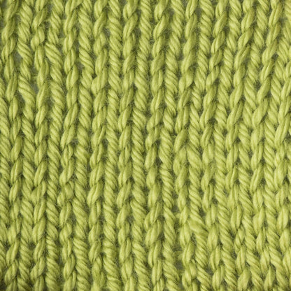 Caron Simply Soft Yarn