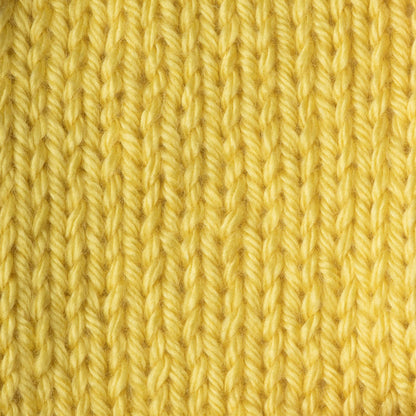 Caron Simply Soft Yarn
