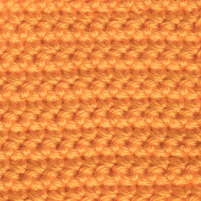 Caron Simply Soft Brites Yarn