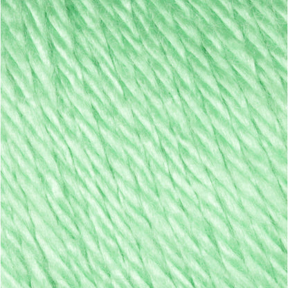 Caron Simply Soft Brites Yarn