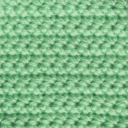 Caron Simply Soft Brites Yarn