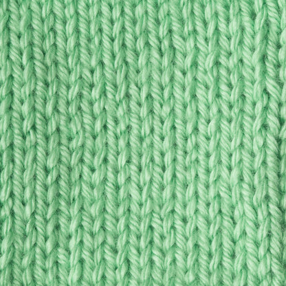 Caron Simply Soft Brites Yarn
