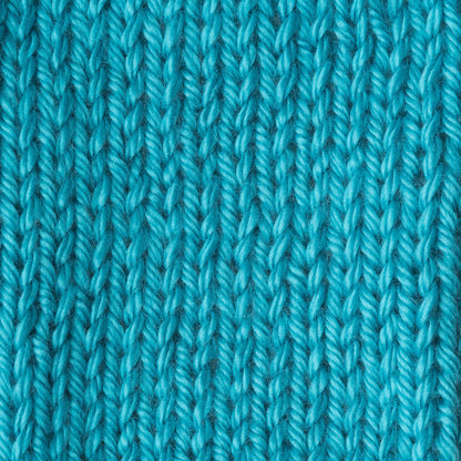 Caron Simply Soft Brites Yarn