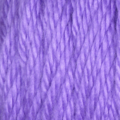 Caron Simply Soft Brites Yarn