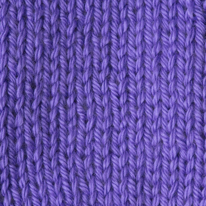 Caron Simply Soft Brites Yarn
