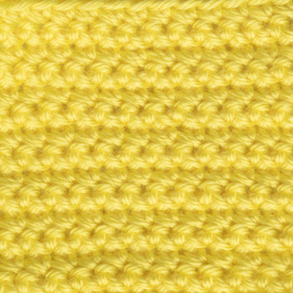 Caron Simply Soft Brites Yarn