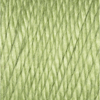 Caron Simply Soft Yarn