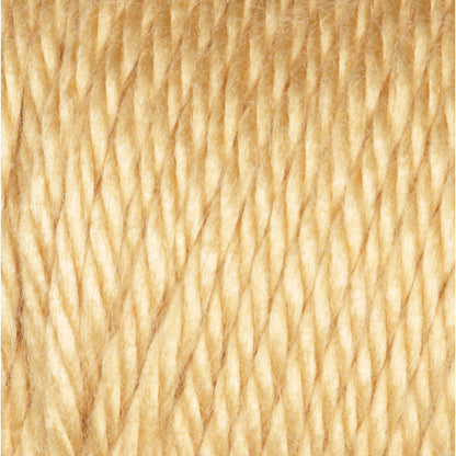 Caron Simply Soft Yarn