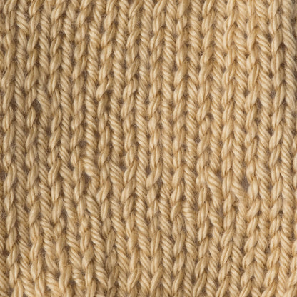 Caron Simply Soft Yarn