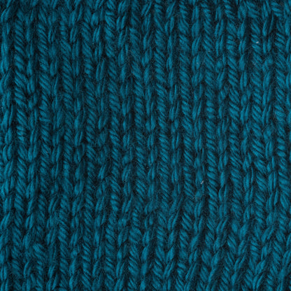 Caron Simply Soft Yarn