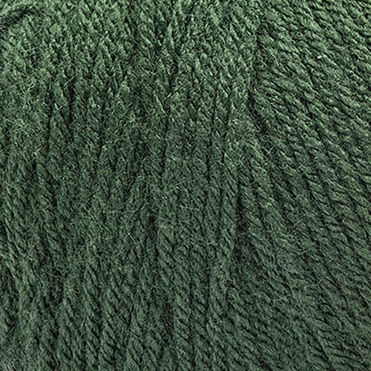 RH Super Saver Yarn